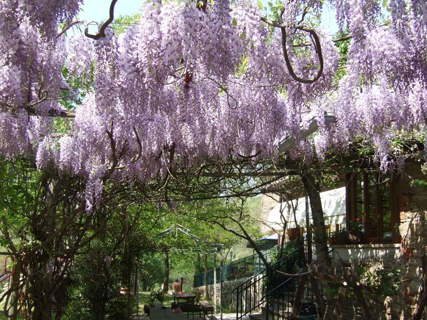 Agriturismo Oasi Verde Mengara Hotel Gubbio Exterior foto